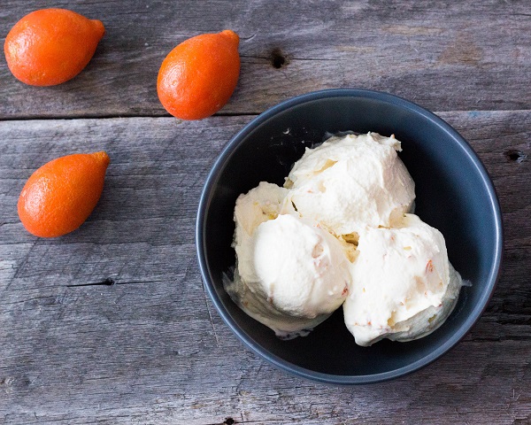 Kumquat Ice Cream