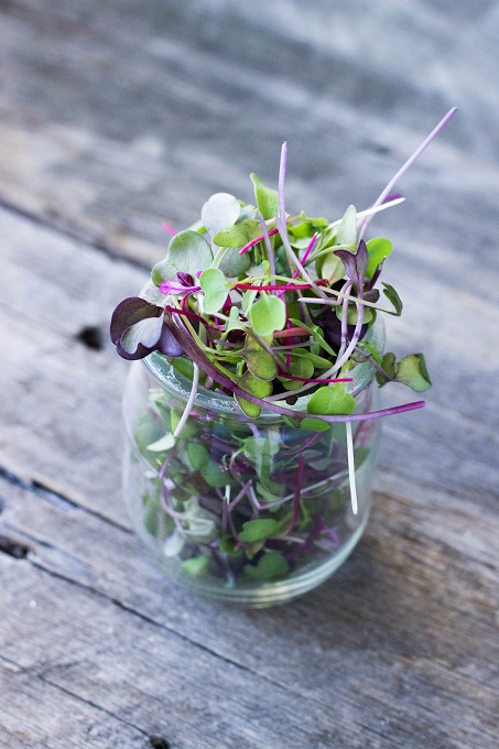 Superfoods 101: Microgreens - Eat Thrive Glow