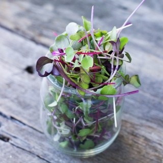 Superfoods 101: Microgreens - Eat Thrive Glow