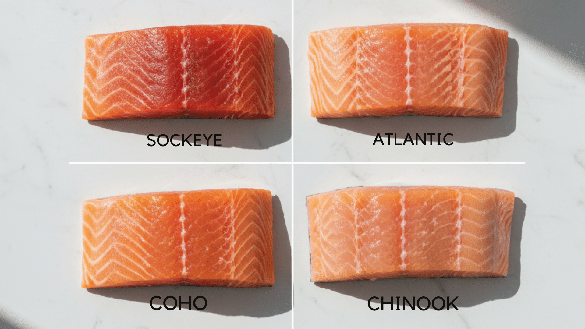 Types salmon