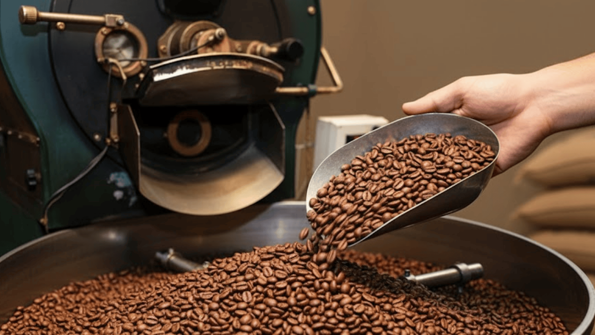 coffee processing