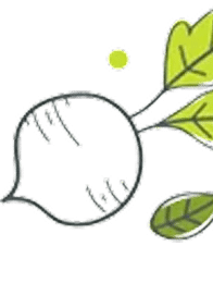 icon-carrot.png